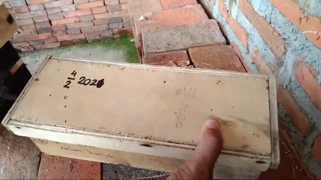 Update - Cangkok Trigona Laeviceps Umur 1 Bulan смотреть онлайн