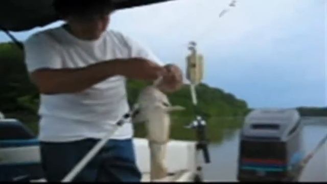 Amazing new Catfishing tool, Controlled Drifting and trolling big catfish with planer bobbers смотреть онлайн
