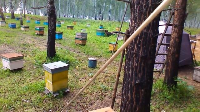 14 февраля 2021 г. смотреть онлайн