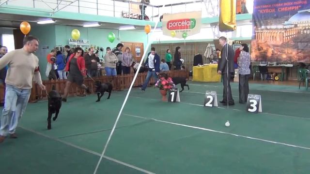 Кубок Сибири-2015" смотреть онлайн