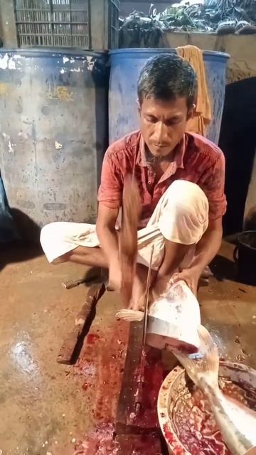 Amazing-Big-Pangas-Fish-Cutting-skills#shorts смотреть онлайн