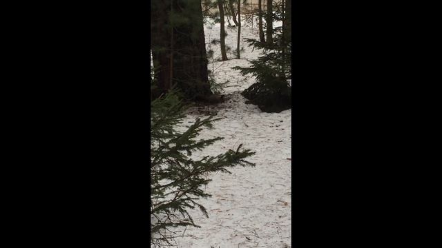 Мини VLOG : Третий День В Доме Отдыха/// Уезжаем 😪 смотреть онлайн