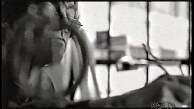 KET Promos & ID, March 10, 2003 смотреть онлайн