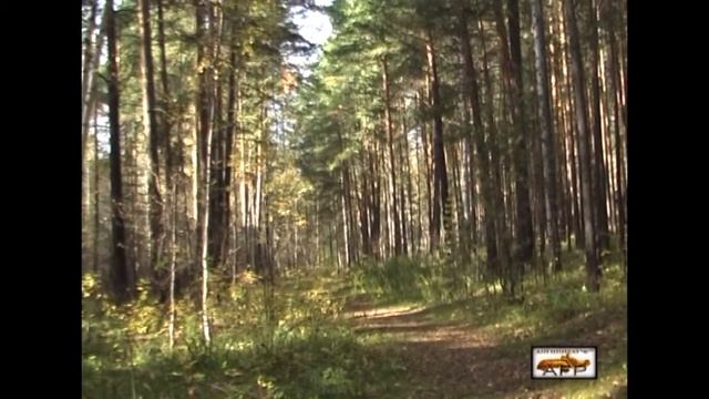 DV Б 4 10 мин Скальные городища 4 часть 2016 г смотреть онлайн