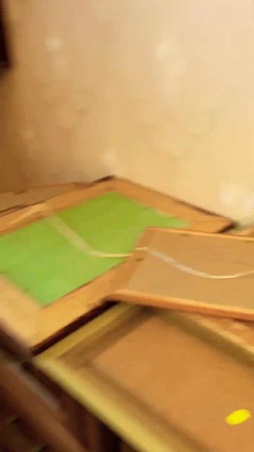 Клопы в квартире ,что делать? bedbugs in the apartment, what to do? #клопы #квартира #bedbugs смотреть онлайн