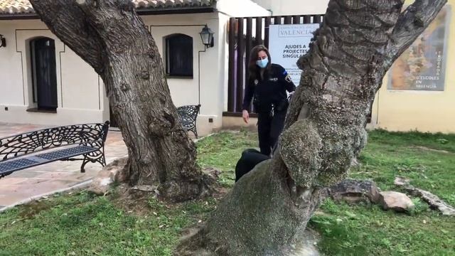 Aslan, nou integrant de la policia de Manises смотреть онлайн