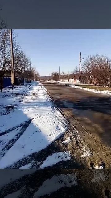 Коты бегут кушать со скоростью звука. Любят покушать. #shorts смотреть онлайн