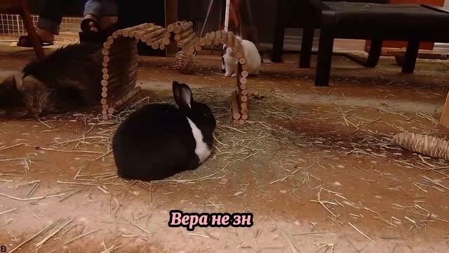 Ужасно поступила, воспользовавшись добротой подруги. История из жизни. История любви. Предательство смотреть онлайн