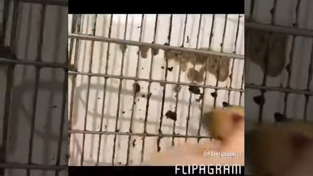 Чистим от нагара смотреть онлайн