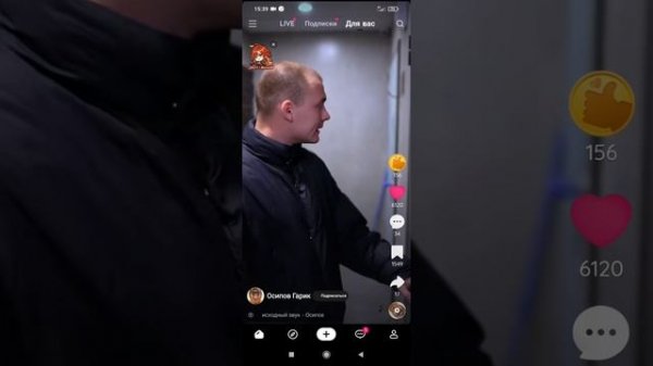 маклабухин