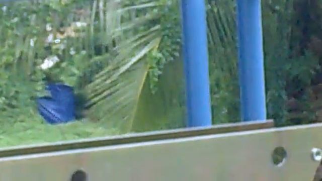 melacur kat semak смотреть онлайн