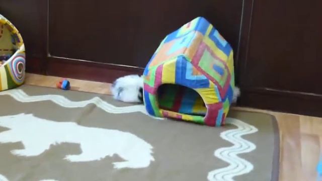 КЭС и КИС 59 дней смотреть онлайн