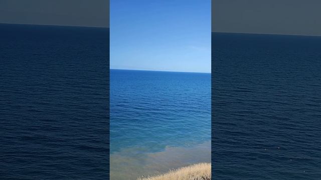 #анападельфины Дельфины в Анапе на радость. смотреть онлайн