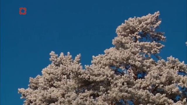 Уход на профилактику канала Удмуртия (Ижевск). 16.12.2019 смотреть онлайн