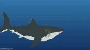 Livyatan vs Megalodon_Epic Battle!