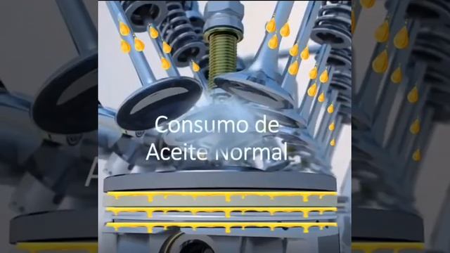 Tapa Fugas De Aceite Aditivo De Motor Liqui Moly 300ml смотреть онлайн