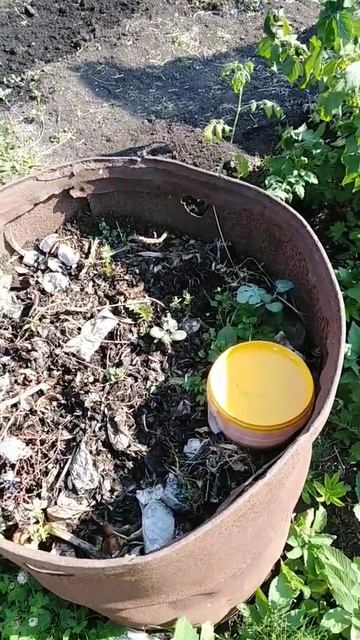 грядка в бочке смотреть онлайн