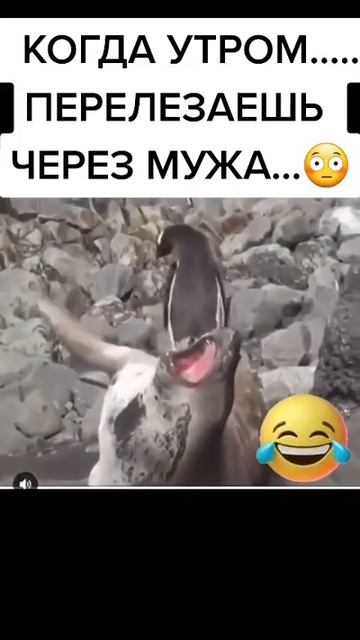 Жизненно😀 смотреть онлайн