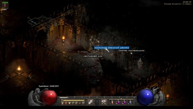 Diablo II Resurrected #43