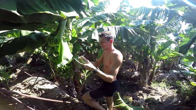 Banana Adventure 30 09 2015 смотреть онлайн