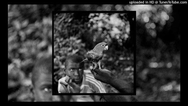 Master Djo - Bunu Libie смотреть онлайн