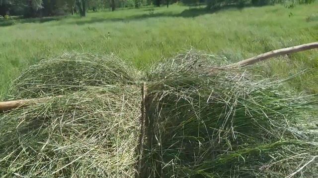 14.06.2022. Немного про сено. смотреть онлайн