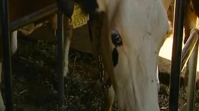 €1.1 billion of EU assistance in Kosovo смотреть онлайн
