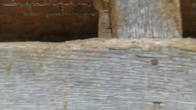 крупная белая смотреть онлайн