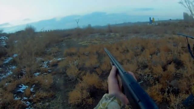 охота в Узбекистане на фазана смотреть онлайн