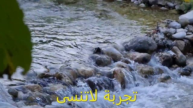 عقارات البوسنه | افضل كشتات ( كشت واكشخ ) في البوسنه منتزه هادي لاند 🇪🇺 🇧🇦 @المهندس علي الفرارجي смотреть онлайн