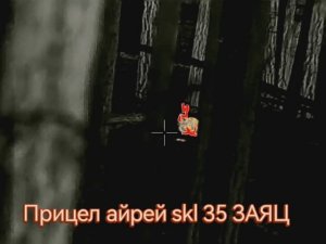 ОХОТА С ТЕПЛОВИЗОРОМ АЙРЕЙ skl 35