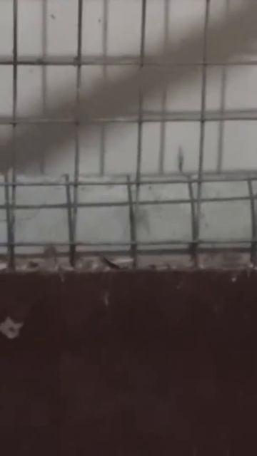 Сора мужа с женой смотреть онлайн