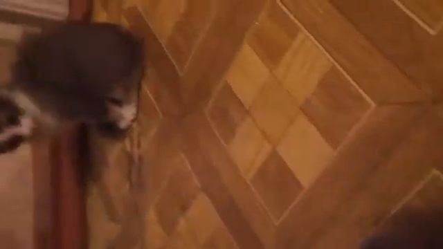 15 июня 2017 г. смотреть онлайн