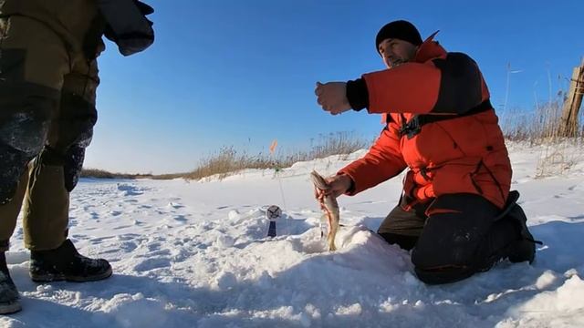 ЖЕРЛИЦЫ! Одолели ЗЛЫЕ ЩУКИ новичка... Сработка за сработкой. ВСЕМ бы такой ПОЧИН! Рыбалка на жерлицы смотреть онлайн