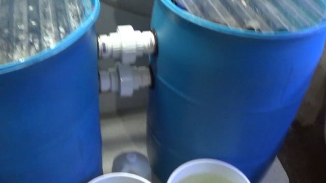 #295: 40 Gallon Breeder Rack is Full but Not Drilled Yet - Update Monday смотреть онлайн