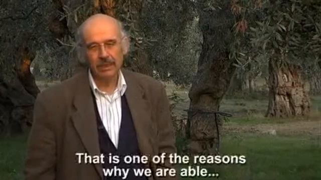 Organic Olive oil from Dr. Tyrologos by ORIGINIS.de смотреть онлайн