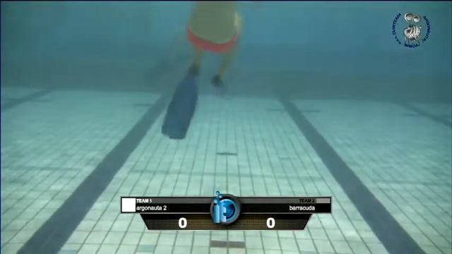 2013 Argonauta UWH Tournament - Field A - No 227 - Argonauta 2 vs Barracuda смотреть онлайн