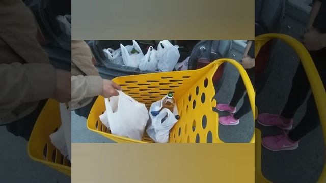 Отчет по благотворительности смотреть онлайн