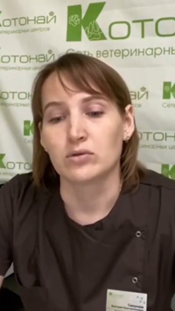 Анестезия у экзотических животных смотреть онлайн