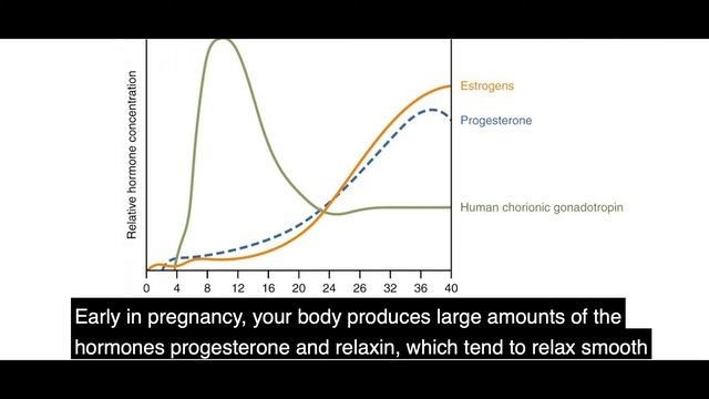29 Weeks Pregnant Baby Development | Care Tips For Pregnant Lady смотреть онлайн