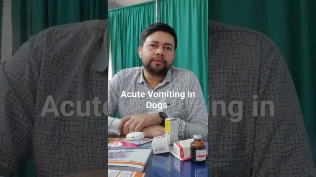 What causes acute vomiting in dogs? #drramiz #wondervet #bestvet #shorts смотреть онлайн