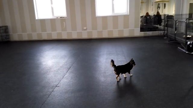 Глори 5 смотреть онлайн