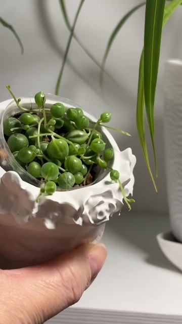 Свет имеет значение смотреть онлайн