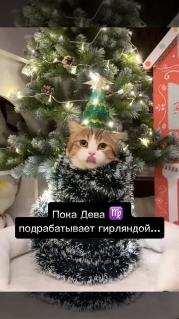 Новогодний гороскоп, Знаки Зодиака в новогодние праздники #новыйгод #гороскоп #котики #собачки смотреть онлайн