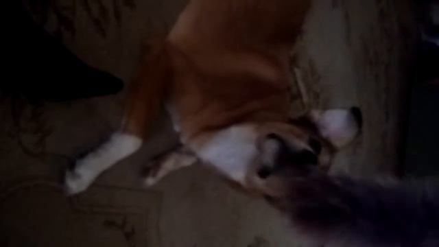 19 октября 2016 г. смотреть онлайн