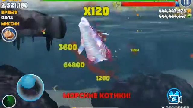 Обзор на кадзю в хенгри шарк еволюшен смотреть онлайн