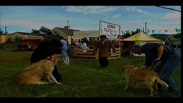 pa scanlon смотреть онлайн