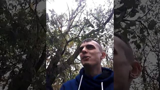 Красный бык пати смотреть онлайн