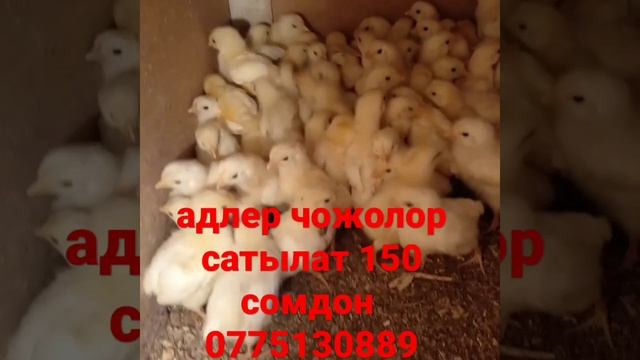 21 марта 2023 г. смотреть онлайн