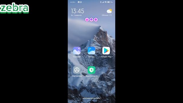 Zebra - как включить простостой режим  на Андроид